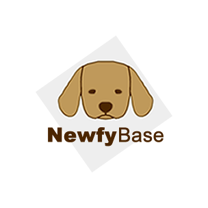 NewfyBase
